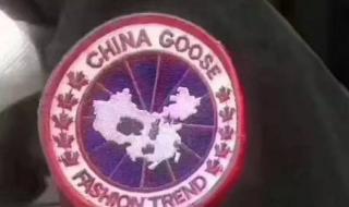 加拿大的男人不回家