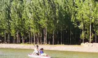 野营开放区 野营开放区