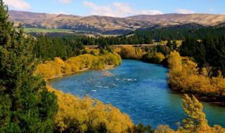 新西兰电子地图 新西兰电子地图