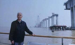 杨泗港长江大桥 杨泗港长江大桥