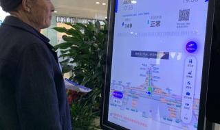 智慧的引导 智慧的引导