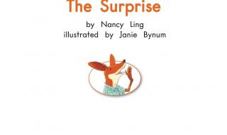 惊喜的英文surprise 惊喜的英文surprise