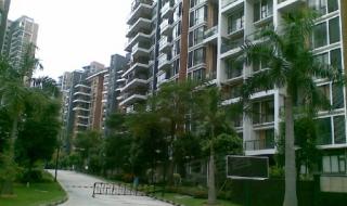 郑上一路从金地格林小城到郑州西广场多少钱 武汉金地格林小城