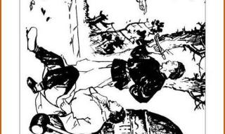 梁斌红旗谱 梁斌红旗谱