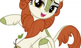 小马宝莉模板 小马宝莉模板