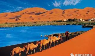 阿拉善属于哪个省份