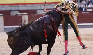 弹西班牙斗牛士的服装 广场舞西班牙斗牛士