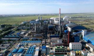 上海华谊集团下属公司有哪些 上海焦化有限公司