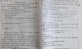 三年级期末试卷 三年级期末试卷