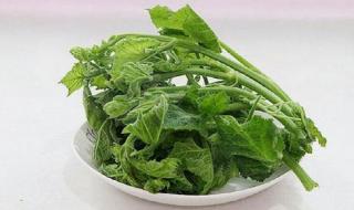 在广东立秋必吃三大食物 立秋必吃的9种食物