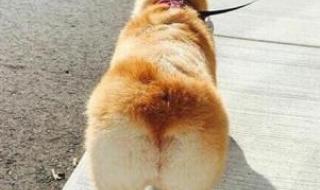 最短的距离是圆 最短的距离是圆