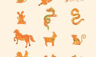 龙年怎么算 龙年太岁犯什么属相