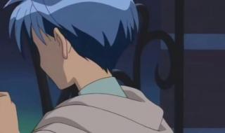 神风怪盗贞德粤语 神风怪盗贞德粤语